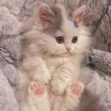 少吃饭多喝水
