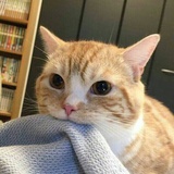 留白