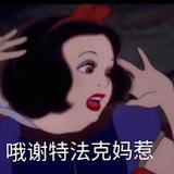 东北张柏芝