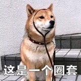 云洁