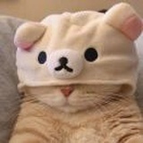 不二臣