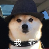 酌影