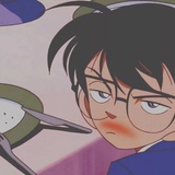 后海小鲨鱼