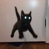 多宝