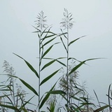 赵二