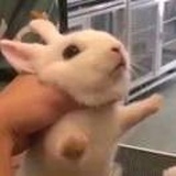 我想当狼人啊