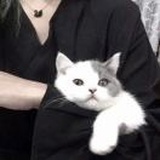 迷失妙妙