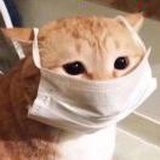 我是真真真的在
