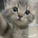 不会挂档