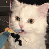 你是谁