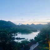 眉豆的眉