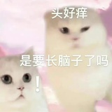 小灰灰