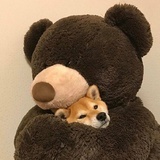 醰醰
