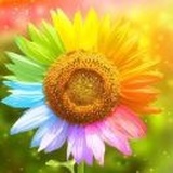阳光