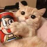 徐靖屿