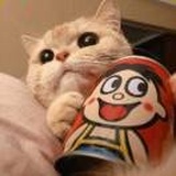 五日七月