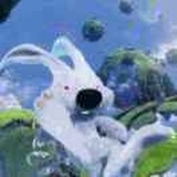 唐