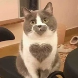 豆友216259514