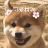 Ycy