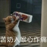 維維豆奶