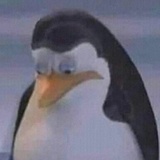 一只羊