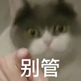 本初大小姐嫁到