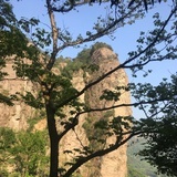 自带盾牌