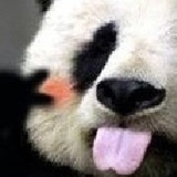 东洋土豆