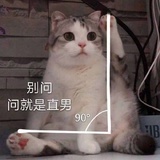宇宙樱花