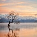 我就想看下微信