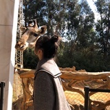 啊球