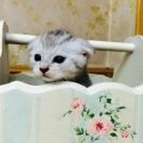 。。。