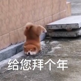 圣父白莲花该死