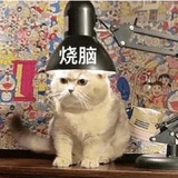 rr