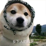 无远弗届