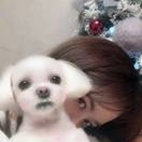 花花花花花卷～
