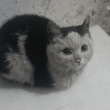 豆友216531474