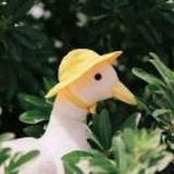 邵秋洋