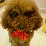 容烟儿