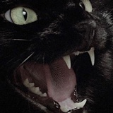 黑猫警长