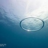 柠檬汽水