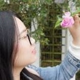 阳琴