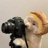 南瓜