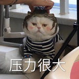 豆友216677368