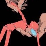 林得