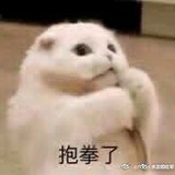 白到发光的小黄