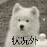 殉凶x