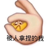 我是假的