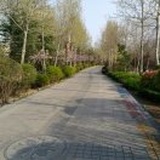 千山一叶