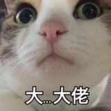 全幼儿园最优